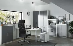 Priess Agenzia Arbeitszimmer Möbel Hot