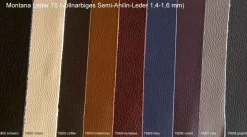 Leu Swiss Belen 2 Sitzer Sofa Leder modern Hot