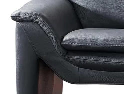 Leu Swiss Bellina Ledercouch -Sitzer New