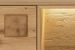 TPT Möbel Davos Vitrinenschrank wildeiche massiv Outlet
