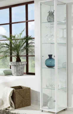mkpreis Glasvitrine schmal in 7 Farben Clearance