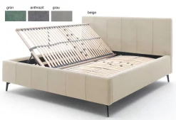 Meise Möbel GmbH & Co.KG Lizzano Polsterbett mit Bettkasten Best
