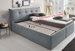 HAPO GmbH & Co. KG Polsterbett grau 160x200 mit Bettkasten