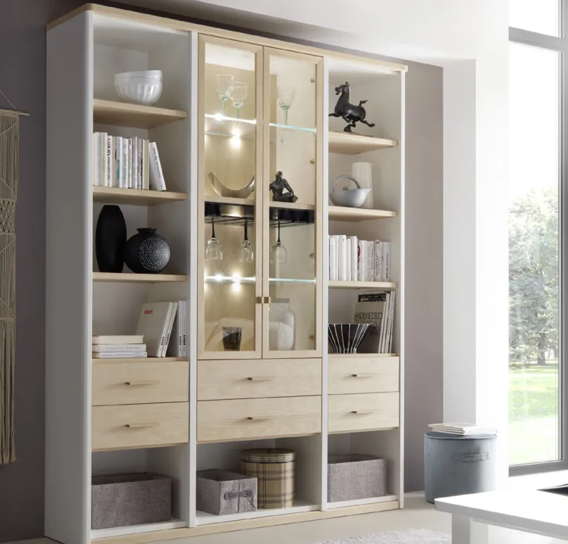 Wehrsdorfer Solution Bücherregal Glastüren Best