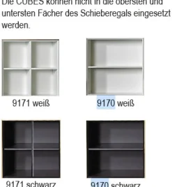 Wehrsdorfer Solution Regalwand TV Fach Online