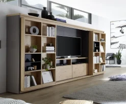 Wehrsdorfer Solution Regalwand TV Fach Online