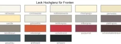Wehrsdorfer Studio Bücherregal mit TV-Element Online